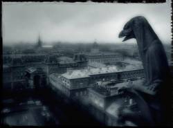 Hooded Gargoyle At Notre Dame Cathedral