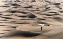 Saharan Hanglider Near Taghit , Algeria , Africa