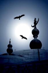 Black Kites Soaring Over Dome And Finial Of The Taj Mahal , Agra , Uttar Pradesh , India