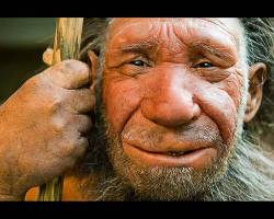 Lifelike Figure Of A Neanderthal Man In The Neanderthal Museum In Mettmann By Duesseldorf , North Rhine Westphalia , Germany