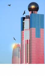 China Liaison Government Building And Circling Chinese Black Kites , Hong Kong , China