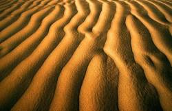 Mini Dunes In The Sahara