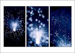 Optical Fibre Lights Appear As Fireworks Display