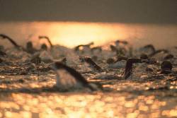Swimmers Race In Lake