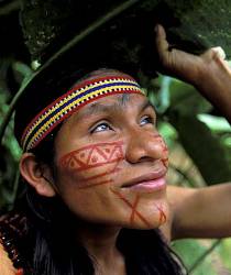 A Native Indian Man From Indigenous Shaur People Taking A Shelter From The Rain Under A Banana Leaf Oriente Jungle Area Near Tena Ecuador
