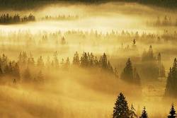 Mist , Sesul Garzii , Bihor Mountains , Parcul Natural Apuseni , Romania , Europe