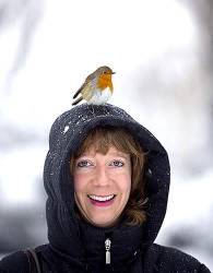Robin Perches On The Head Of Bemused Young Lady , London , England
