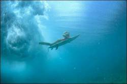 Young Female Surfer Does A Duck Dive And Finds Her Way Through The White Water Of A Breaking Wave To Reach The Peak In Wilderness , A Wild Spot Located On The Northern Tip Of Saint Martin / Sint Maarten Island , French West Indies , July 2006 .
