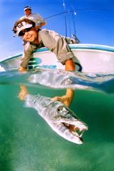 Great Barracuda & Sports Fisherman