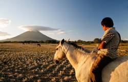 Nicaragua Isla Ometepe Lake Nicaragua Smiling Yong Cowboy Getting His Cattle Back To The Farm In The Evening Volcano Concepciòn In Background