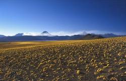 String Of Volcans Near Salar Aguas Calientes