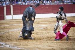 Somersault Of The Bull, Spain