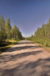 Long Sunny Road Through Forest In Finnish Lapland .