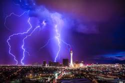 Las Vegas Lightning 2012 . 8