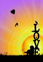Love Birds And Rag Doll