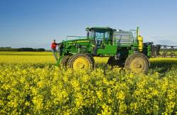 Man On High Clearance Which Was Sprayer Applying Fungicide On A Bloom Stage Canola Field Near Somerset , Manitoba , Canada