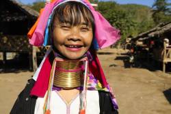 Kayan ( Ethnic Minority ) Woman Also Called Longneck Wearing Gold Rings Around Her Neck , Mae Hong Son , Northern Thailand , Asia *** Local Caption *** The Kayan Are A Subgroup Of The Red Karen ( Karenni ) People , A Tibeto Burman Ethnic Minority Of Burma ( Myanmar ) . The Kayan Consists Of The Following Groups : Kayan Lahwi ( Also Called Padaung , Kayan Ka Khaung ( Gekho ) , Kayan Lahta , Kayan Ka Ngan . Kayan Gebar , Kayan Kakhi And , Sometimes , Kayaw . N The Late 1980s And Early 1990s Due To Conflict With The Military Regime In Burma , Many Kayan Tribes Fled To The Thai Border Area , Where They Live With An Uncertain Legal Status , And Villages Displaying Padaung Women With Brass Neck Coils .