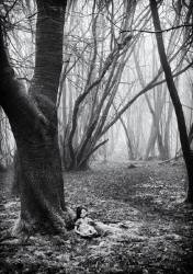 Ragdoll In Misty Woods Portrait Monochrome