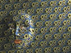 Face Of Young Woman Female Emerging From Behind Floral Pattern Wall , Wallpaper