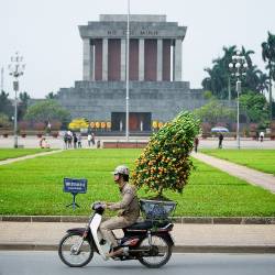 Ho Chi Minh Mausoleum During Tet ( Lunar New Year ) Is The Most Important Date In The Vietnamese Calendar . The New Year Will Start On February 14th 2010 And It Will Be The Year Of The Tiger . Hanoi Is , Like Every Year , Is Very Crowded . A Similar Atmosphere We Have In Our Cities Before Christmas Holidays . People Is Frenetically Going Around To Buy Decorations , Kumquats Trees , Pink Peach Blossoms Branches Or Trees , Apricot Blossoms Trees .