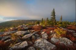 Sunrise View Of Dolly Sods Wilderness  With Red Blueberry And Huckleberry Ground Cover, From Bear Rocks Preserve, WV, Autumn