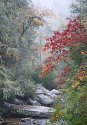 Chattooga National Wild And Scenic River At Bull Pen Bridge, Nantahala National Forest,North Carolina, Autumn