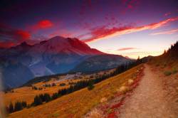 Sunset Mt Rainier From The Sourdough Ridge Trail In The Sunrise Area Of MT Rainier National Park In Washington