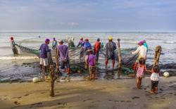Members Of A Small Fishing Village, Young To Old, Band Together Twice A Day To Pull In Their Mile-long Sein Fishing Net At Baybay Beach, Roxas City, Panay Island, Philippines, Southeast Asia.