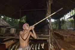 A Palawano Teenage Boy Demonstrates The Use Of A Bamboo Blowgun At The Palawan Eco Garden And Tribal Village In Puerto Princesa, Palawan Island, Philippines. Palawano Or Pala’wan Are An Indigenous Ethnic Group Native To The Island Of Palawan And Were One Of The First Tribes To Settle In The Philippines.