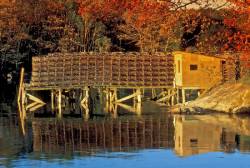Photo Illustration Of A Small Dock Stacked With Lobster Pots, Water Reflections And Seasonal Autumn Colours In Camden, Maine, USA.