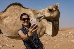 Woman Taking Selfie With A Camel In The Desert During A Safari
