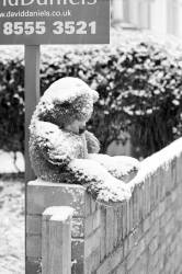 Teddy Bear Left On A Wall In The Winter Snow