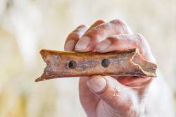 Bone Of A Cave Bear With Holes Suggesting It Could Be The Oldest Musical Instrument In The World, About 50,000 Years Old. It Was Found By Ivan Turk In 1995 In The Divje Babe Cave In Slovenia. This Is An Exact Copy Of The Original Bone.