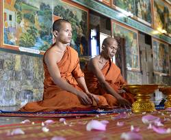 Buddhist Monks Bestow Blessings On Visitors In A Ceremony Which Includes Chanting And Casting Flower Petals. Udon Monastery, Cambodia.