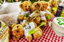 Teddybears Picnic