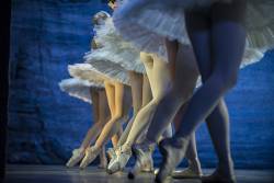The Swan Lake Russian Ballet On Stage