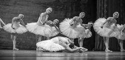 The Swan Lake Russian Ballet On Stage