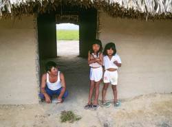 A Father And His Two Daughters, Pemon Indians, In A Work Shed In A Small, Remote Rainforest Village In The Gran Sabana Region Of Venezuela Near Angel Falls.