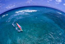 Windsurfer In The Florida Keys , Florida USA