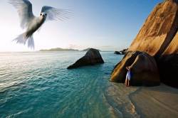 Woman Relaxing On Granite Boulders Of Beach With White / Fairy Tern ( Modified Image ) La Digue Island Seychelles