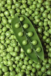 Shelled Green Peas