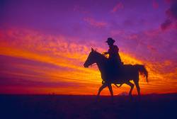 Cowboy At Sunset In The State Of Washington , USA