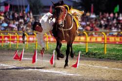 Horse Derby During The May Labour Day Holidays In Dali Yunnan China