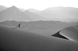 Running On The Sand Dunes , Death Valley National Park , CA USA
