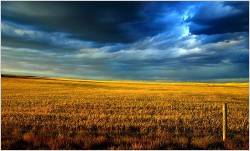 Approaching Storm