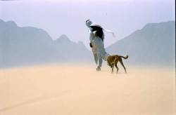 Sandstorm In The Duna , Nueba Sinai , Egypt