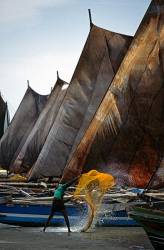 Negombo Harbour ( Sri Lanka ) In The Foreground Two Fishermen Vigorously Shake A Fishing Net Behind Them Full Sail Fishing Boats Are Lined Up Along The Wharf