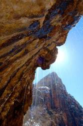 The Weeping Wall , Zion National Park , Utah
