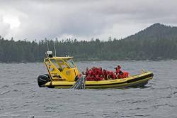 Grey Whale Rubbing Head On Side Of Whale Watchers Zodiac Boat , Clayoquot Sound , Vancouver Island , British Columbia , Canada