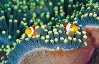 Underwater